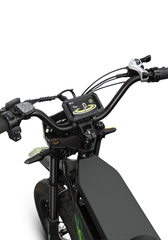 SASIKEIBIKE Y7 Fat Tire Electric Dirt Bike
