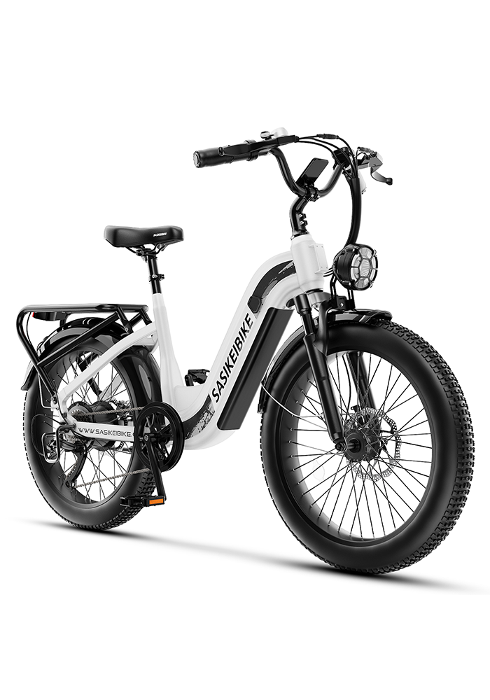 Sasikeibike C6 Alt electric bike in sleek black finish with 20-inch tires
