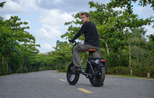 Electric Bike for Grocery Shopping: Cityrang 4.0 Guide