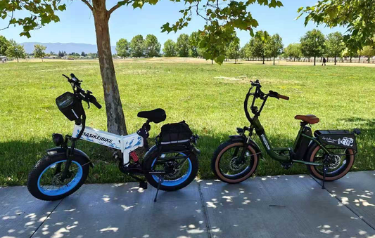 SASIKEIBIKE E7 vs VEFREEDOM Cityrang 4.0 | E-Bike Comparison