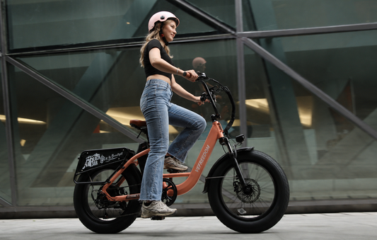 VEFREEDOM Cityrang 4.0 Fat Tire Commuter E-Bike Guide