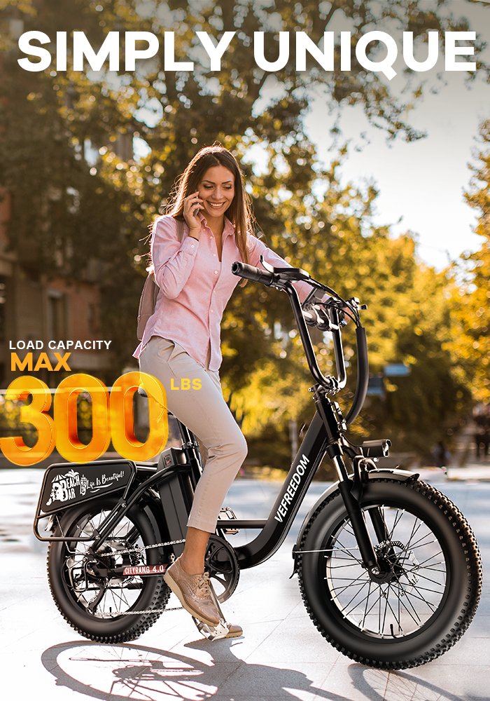 vefreedom Cityrang 4.0 electric bike