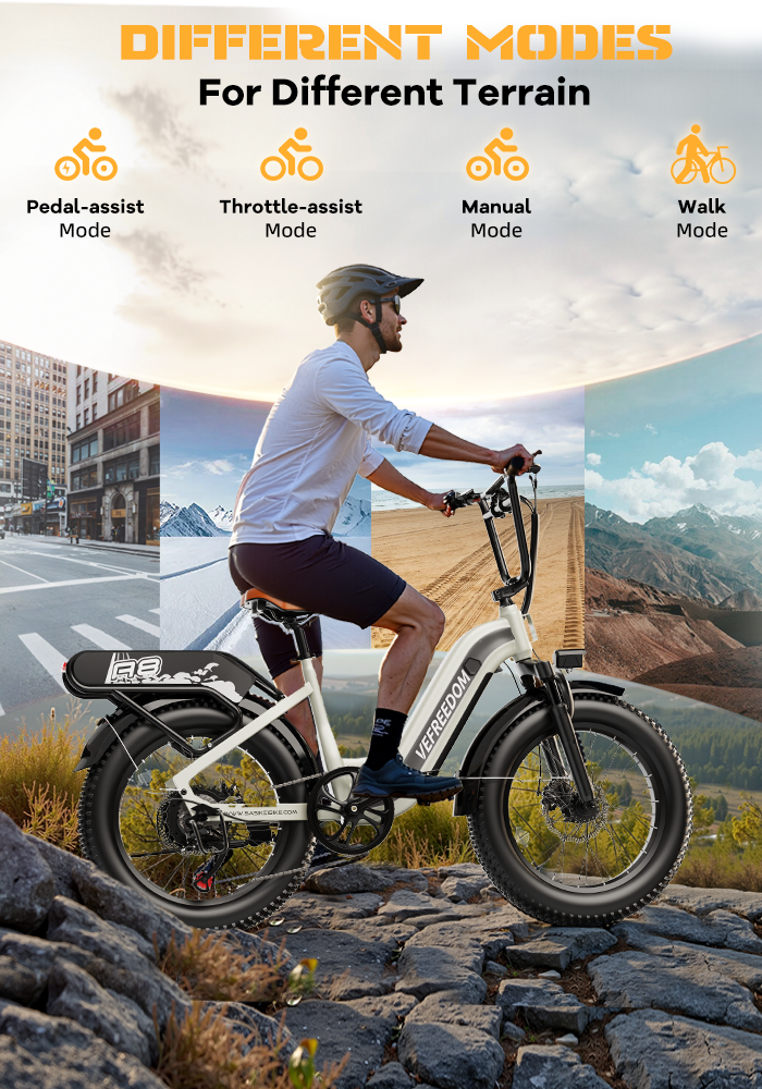 vefreedom 20'' fat tire electric bike for adults-A8