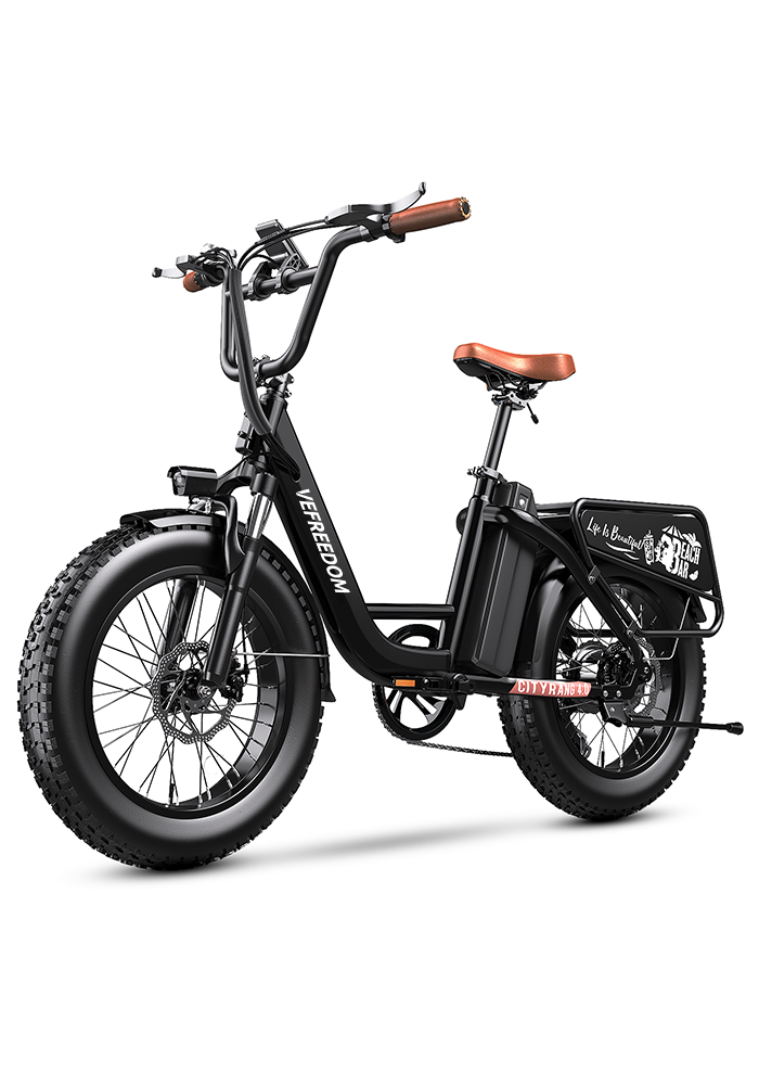 vefreedom Cityrang 4.0 electric bike