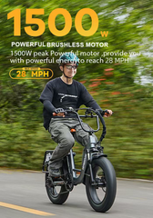 vefreedom Cityrang 4.0 electric bike