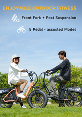 vefreedom Cityrang 4.0 electric bike