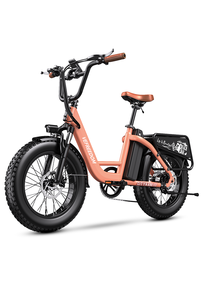 vefreedom Cityrang 4.0 electric bike