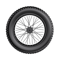 Sakekeibike Rear Wheel-C6