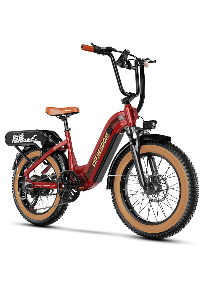 vefreedom 20'' fat tire electric bike for adults-A8
