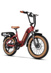 vefreedom 20'' fat tire electric bike for adults-A8