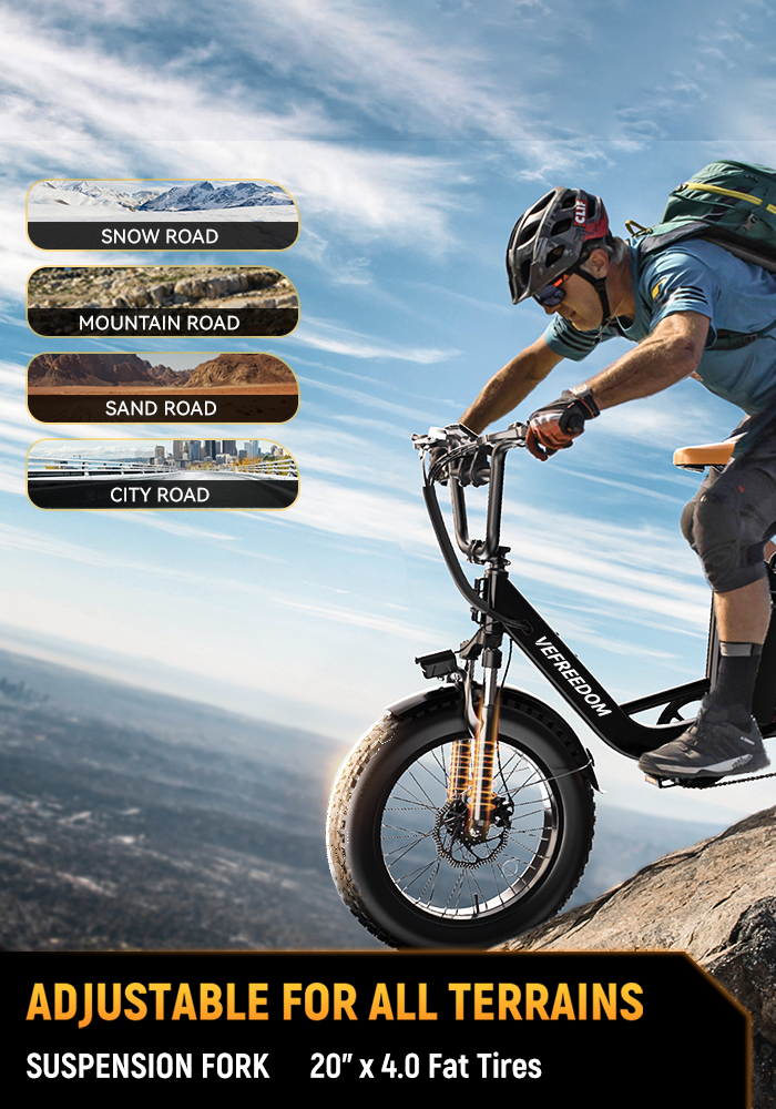 vefreedom Cityrang 4.0 electric bike