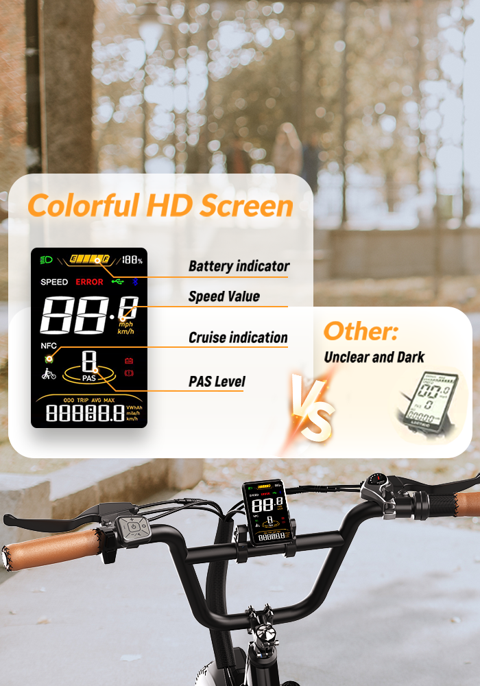 vefreedom Cityrang 4.0 electric bike