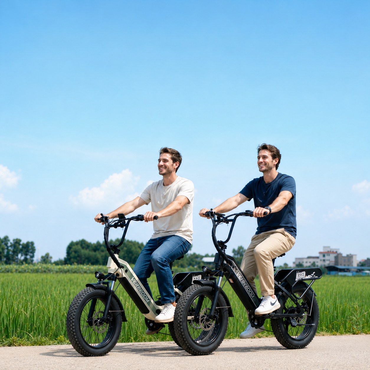 VEFREEDOM A8 electric bike with fat tires for city commuting and outdoor riding