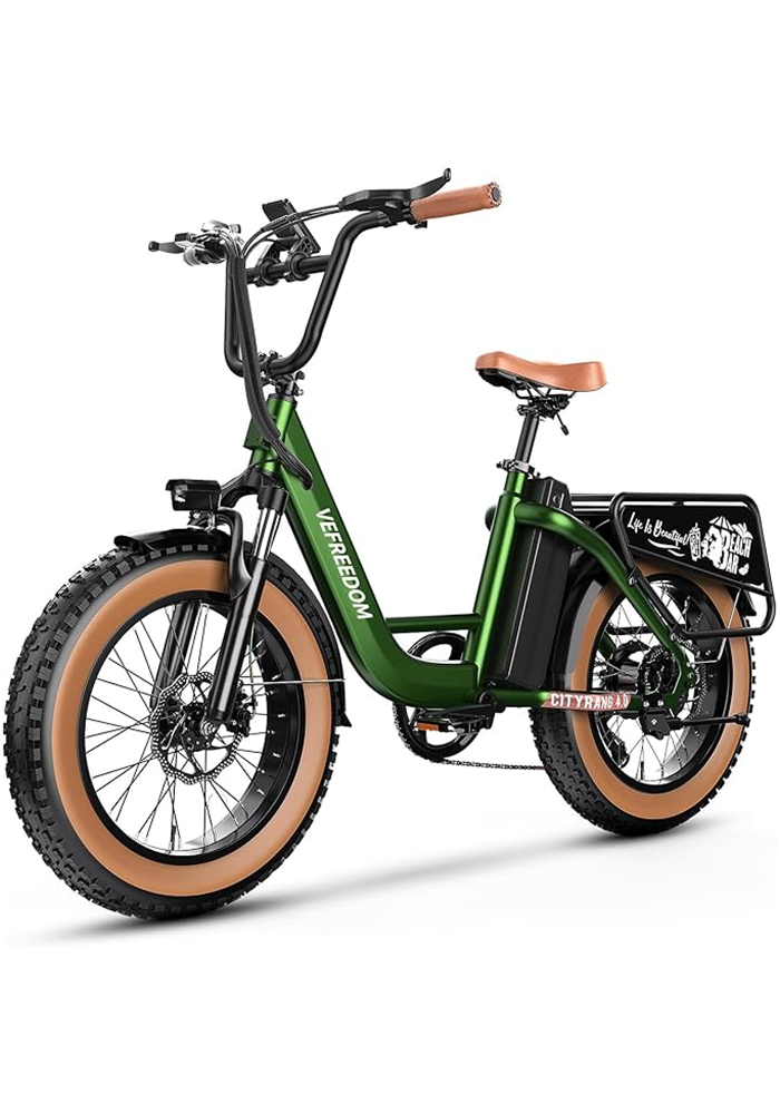 vefreedom Cityrang 4.0 electric bike