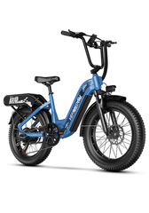 vefreedom 20'' fat tire electric bike for adults-A8