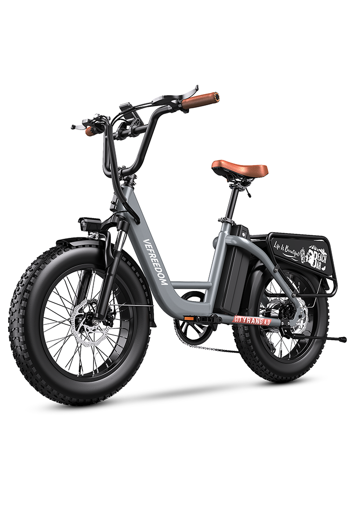 vefreedom Cityrang 4.0 electric bike